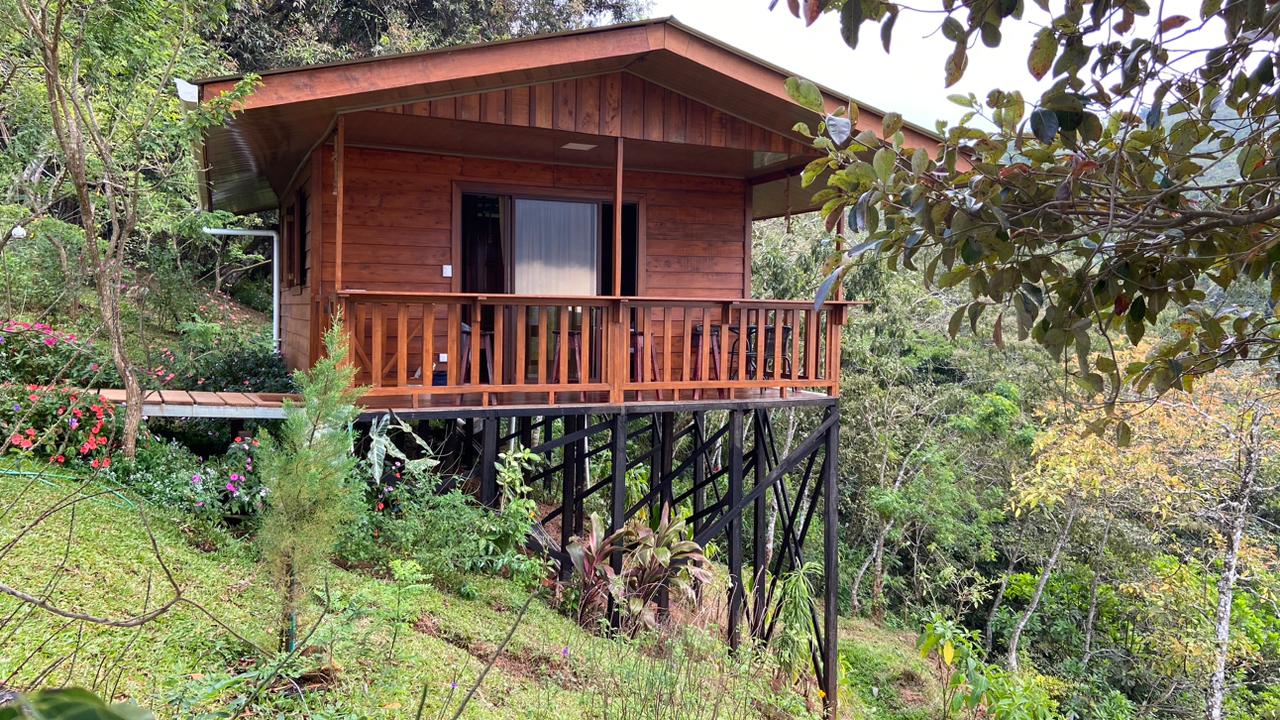 Short Term Cabin rental in the Forest with trails and a Waterfall!