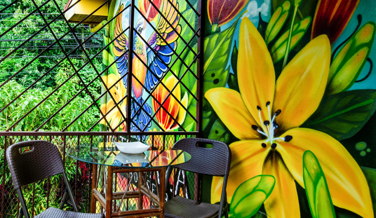 2025-LA TERRAZA GUEST HOUSE-EL NIDO-11