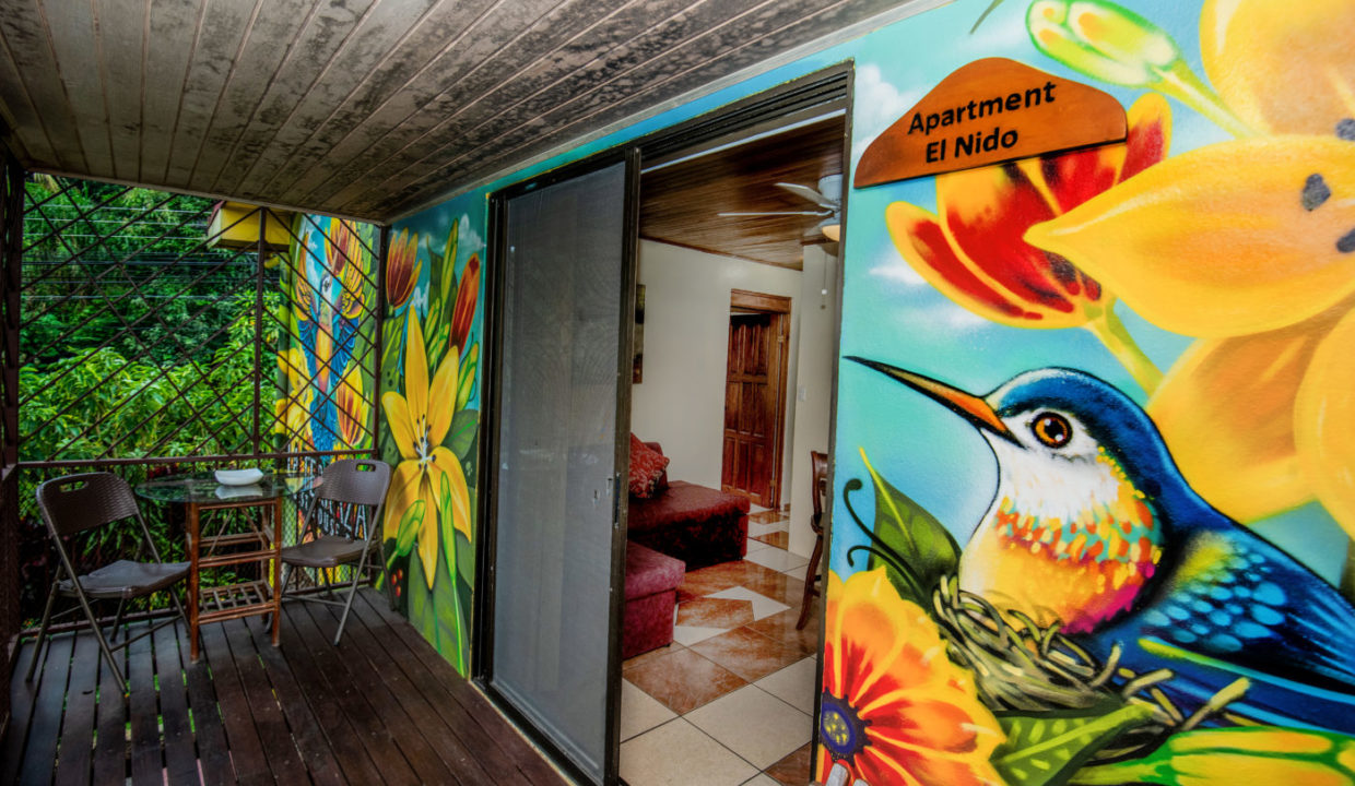 2025-LA TERRAZA GUEST HOUSE-EL NIDO-12