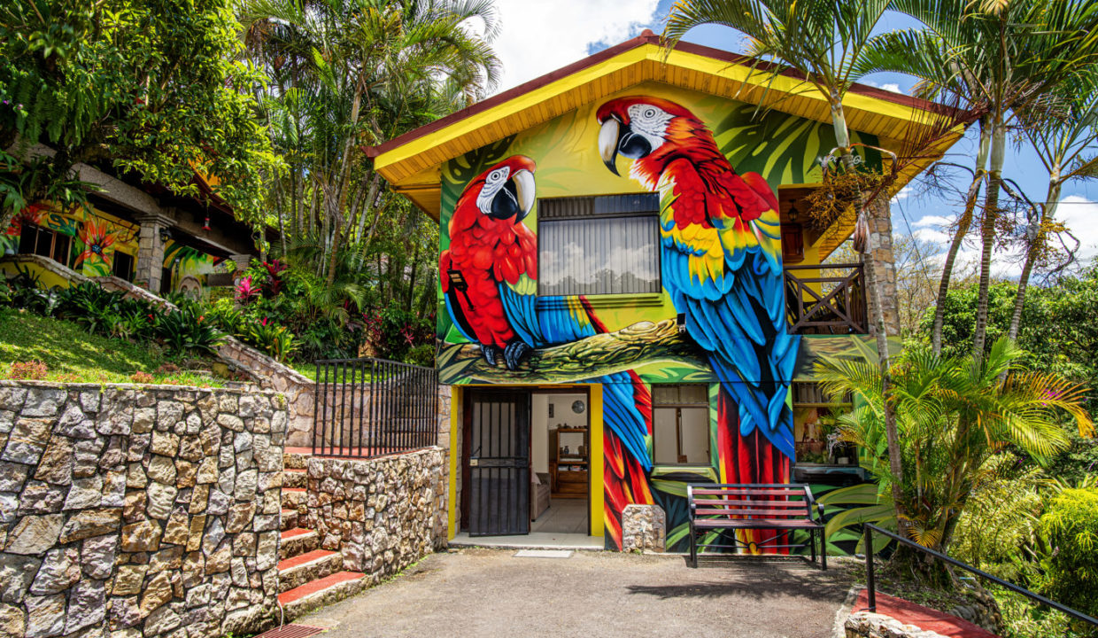 2025-LA TERRAZA GUEST HOUSE-EL RIO-01