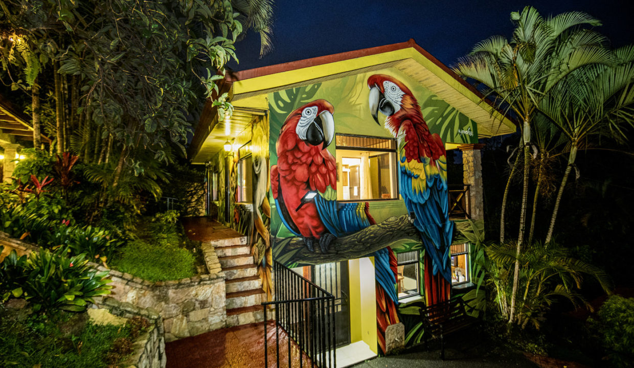 2025-LA TERRAZA GUEST HOUSE-EL RIO-14