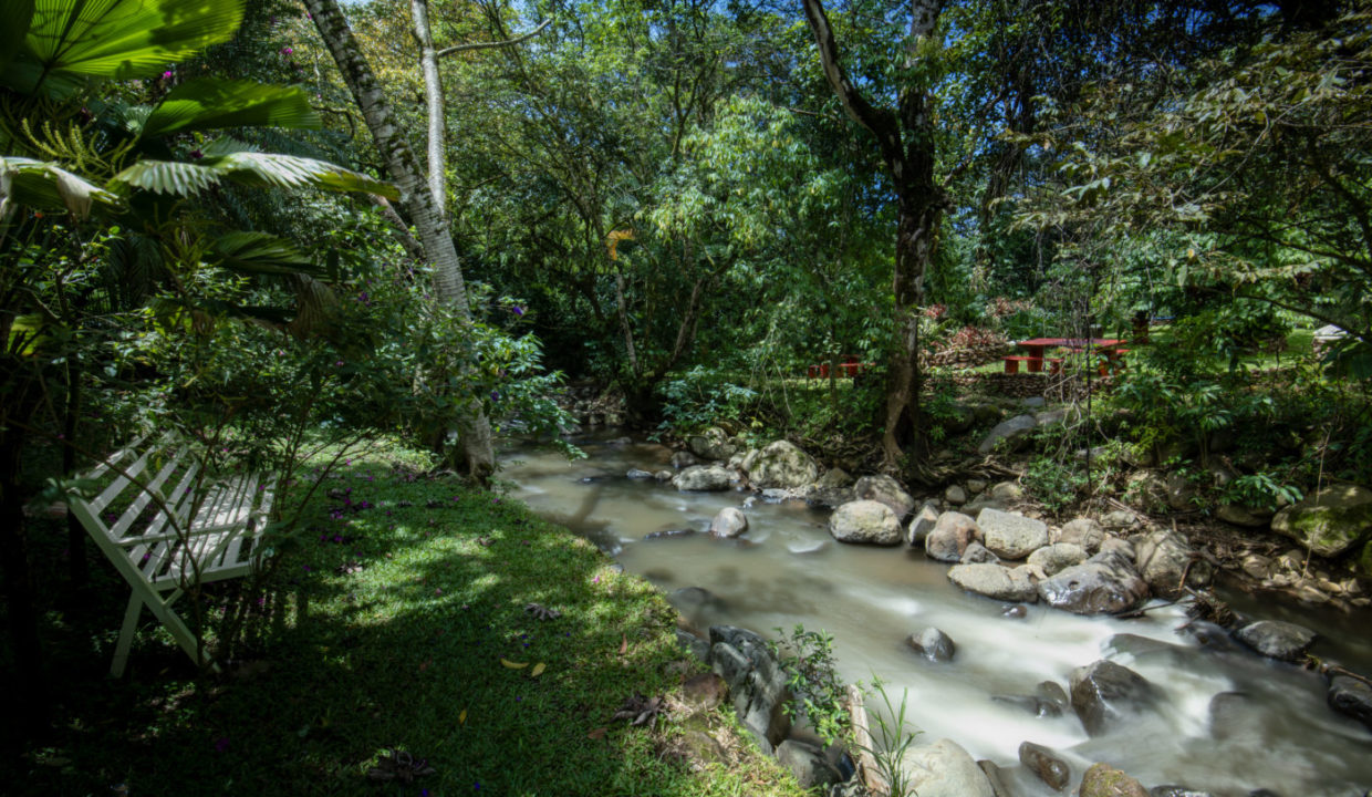 2025-LA TERRAZA GUEST HOUSE-JARDIN-10