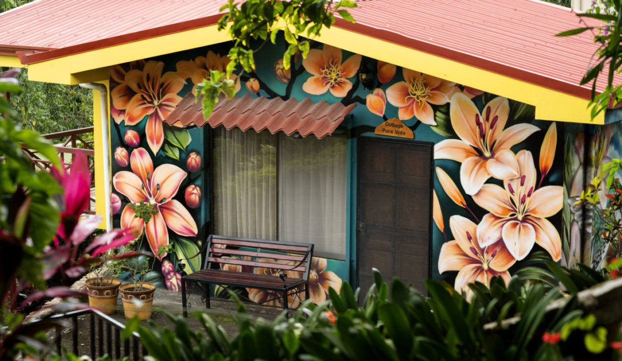 2025-LA TERRAZA GUEST HOUSE-PURA VIDA-13