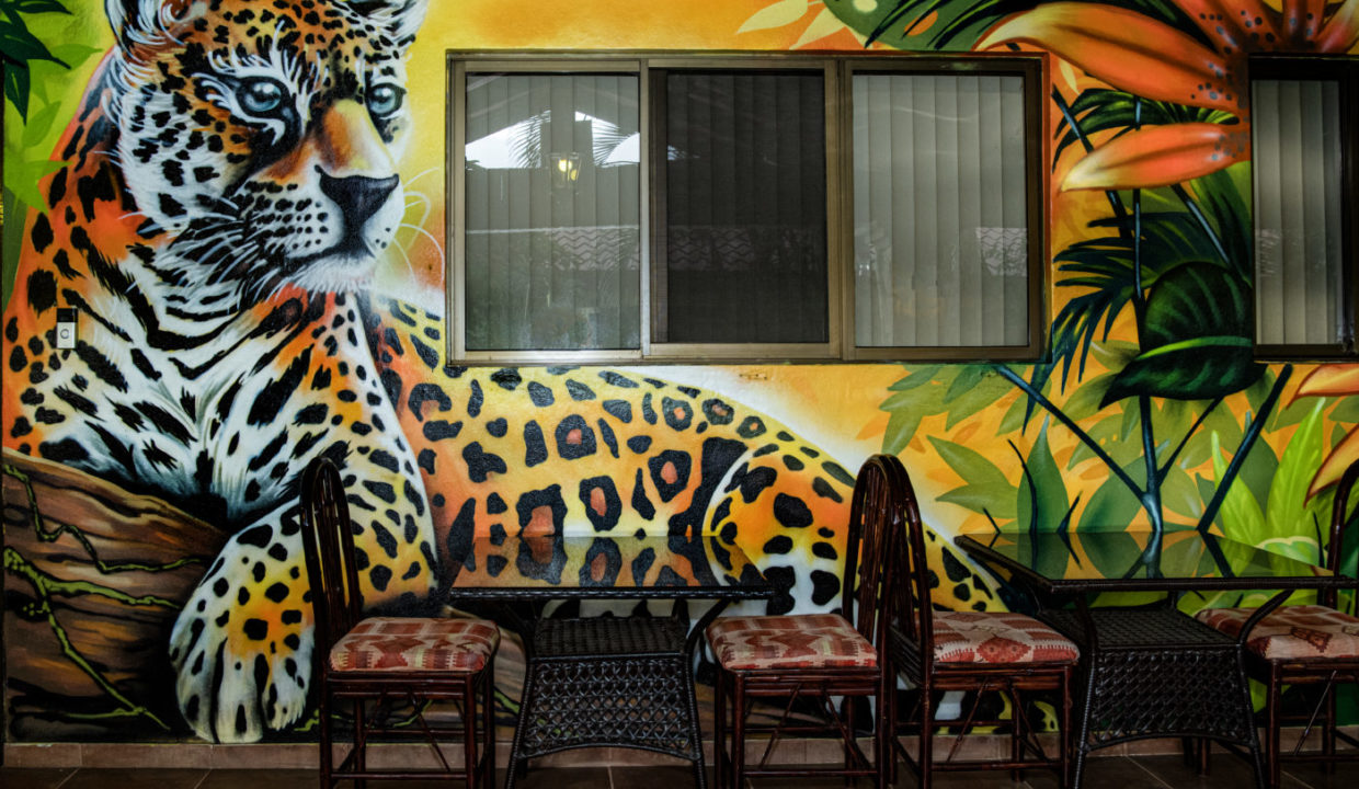 2025-LA TERRAZA GUEST HOUSE-RESTAURANTE-05