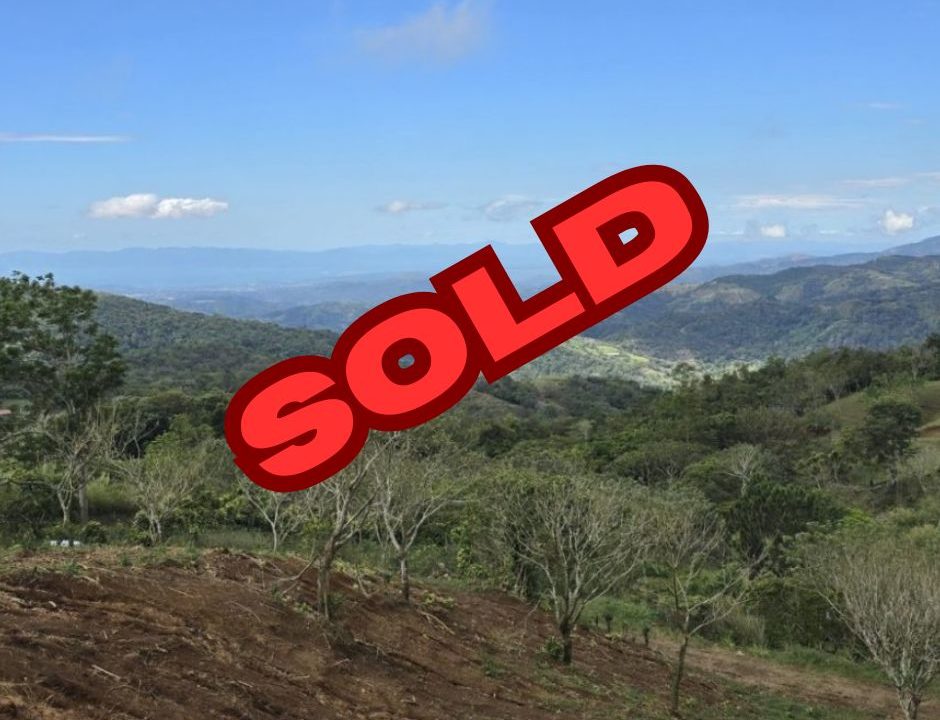 SOLD2