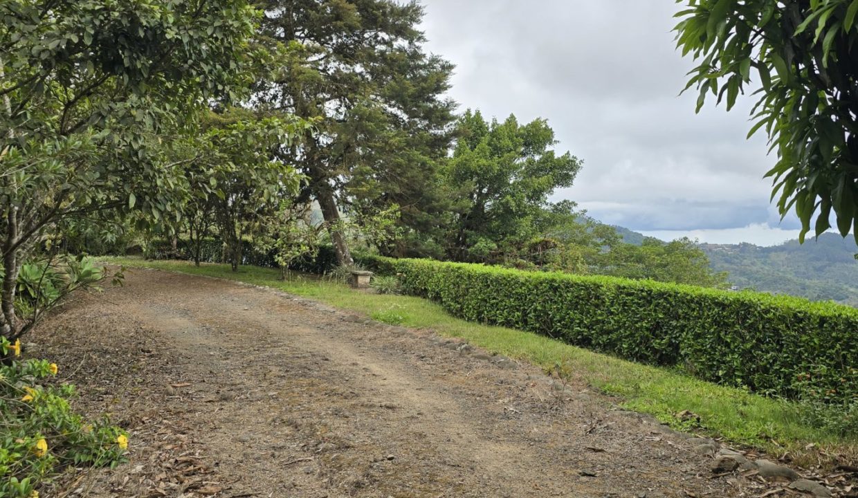 driveway