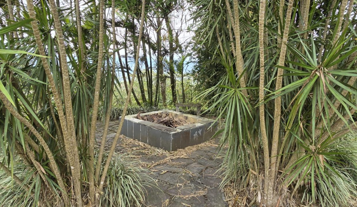 firepit
