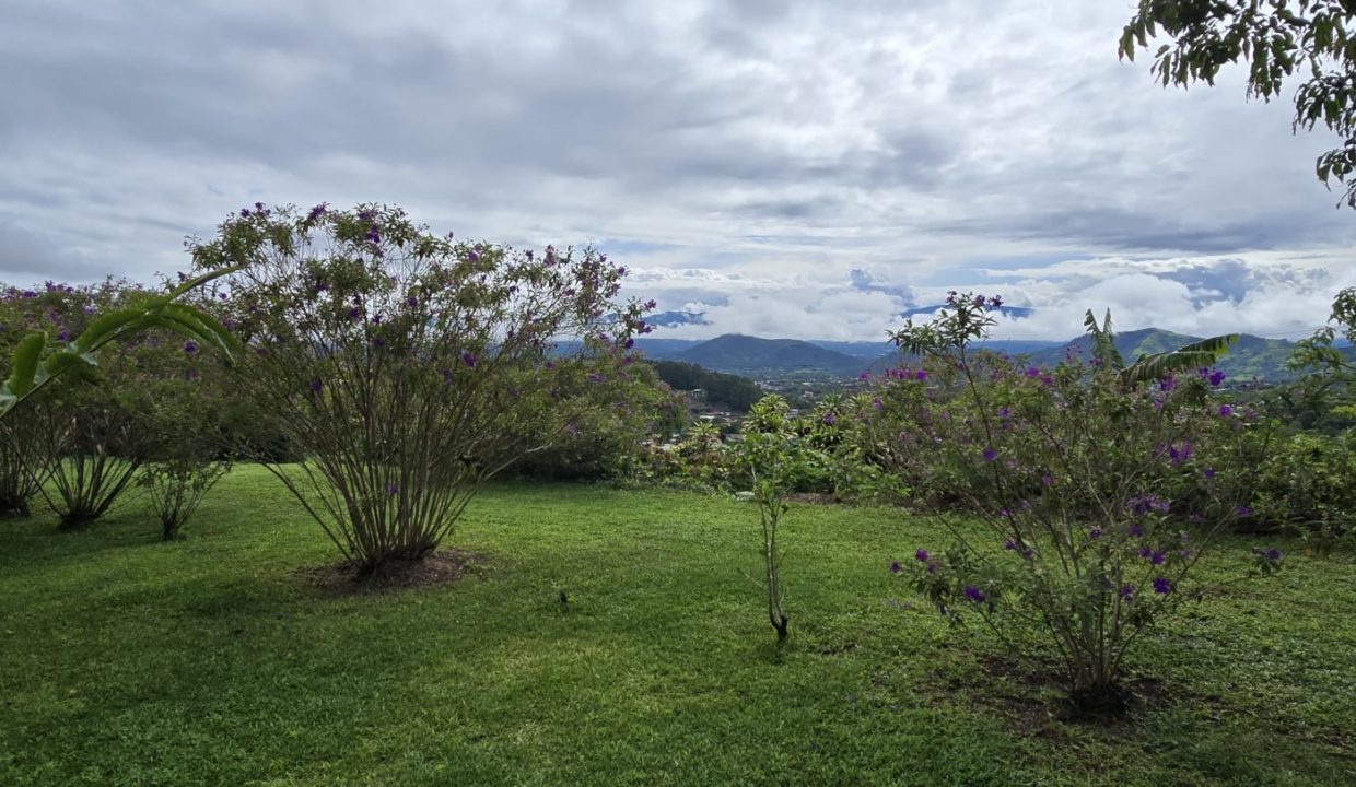 garden2