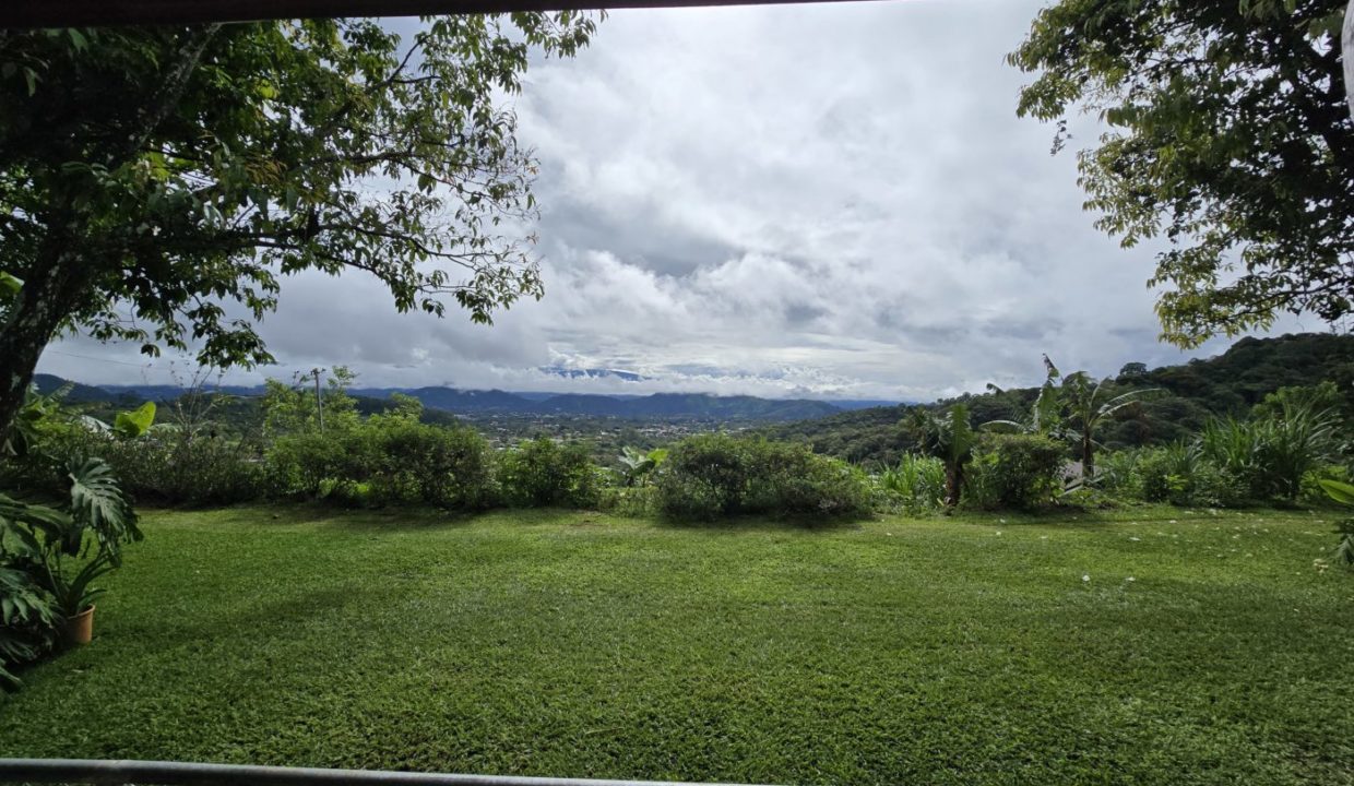 lawn2