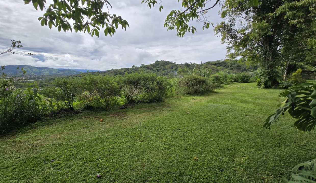 lawn7