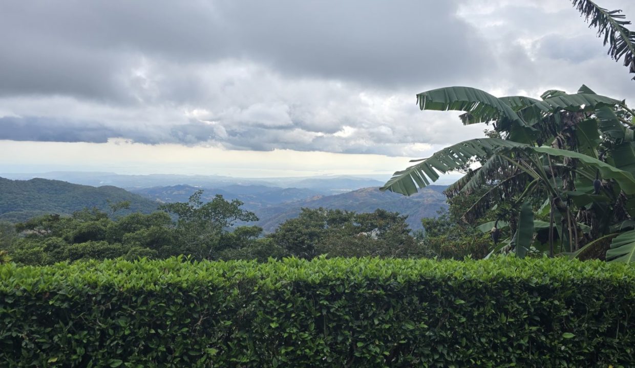 view2