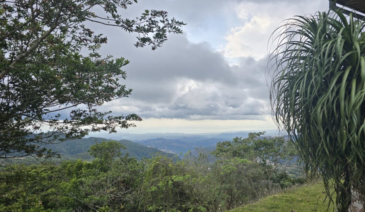 view3