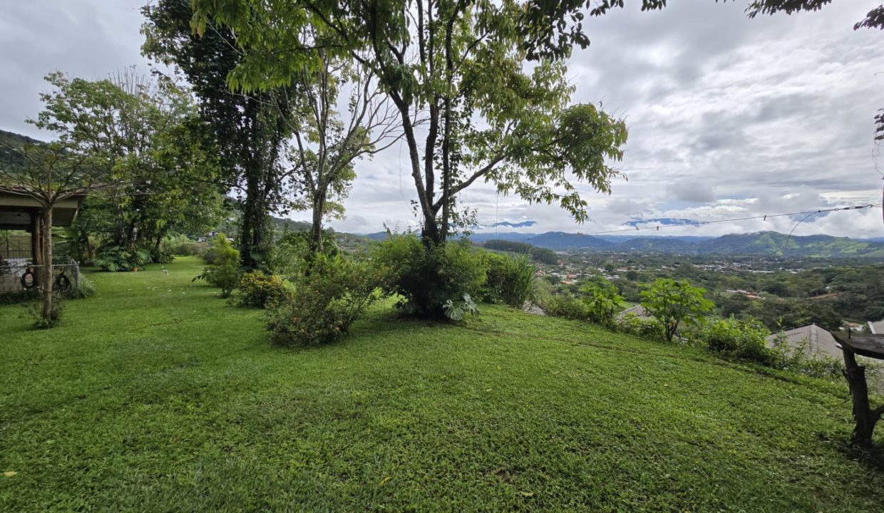 view3