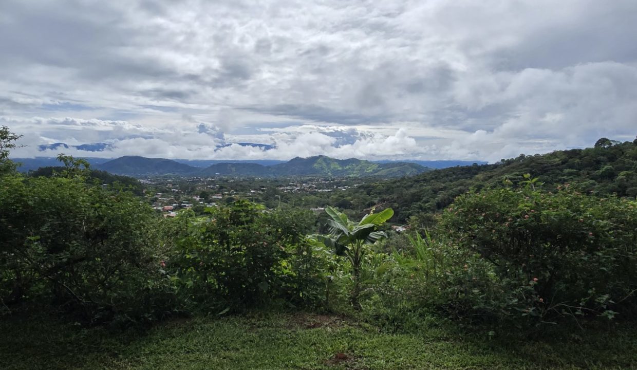 view4