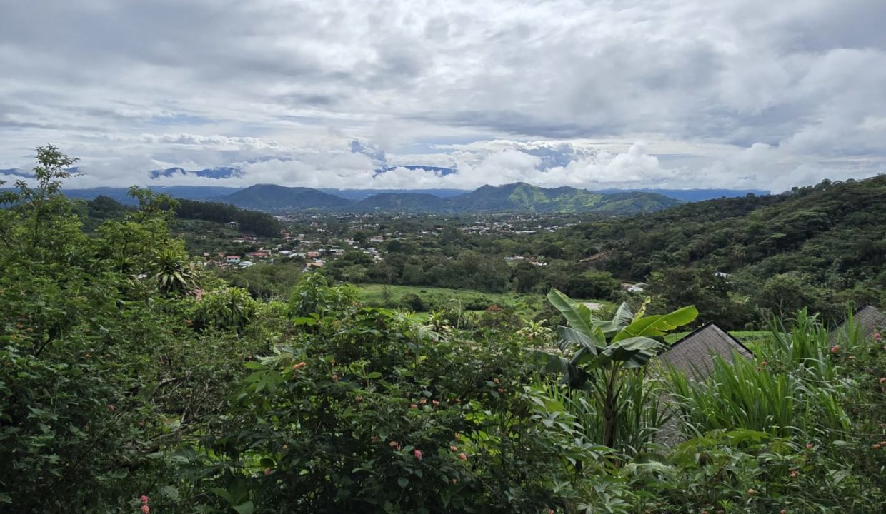view6