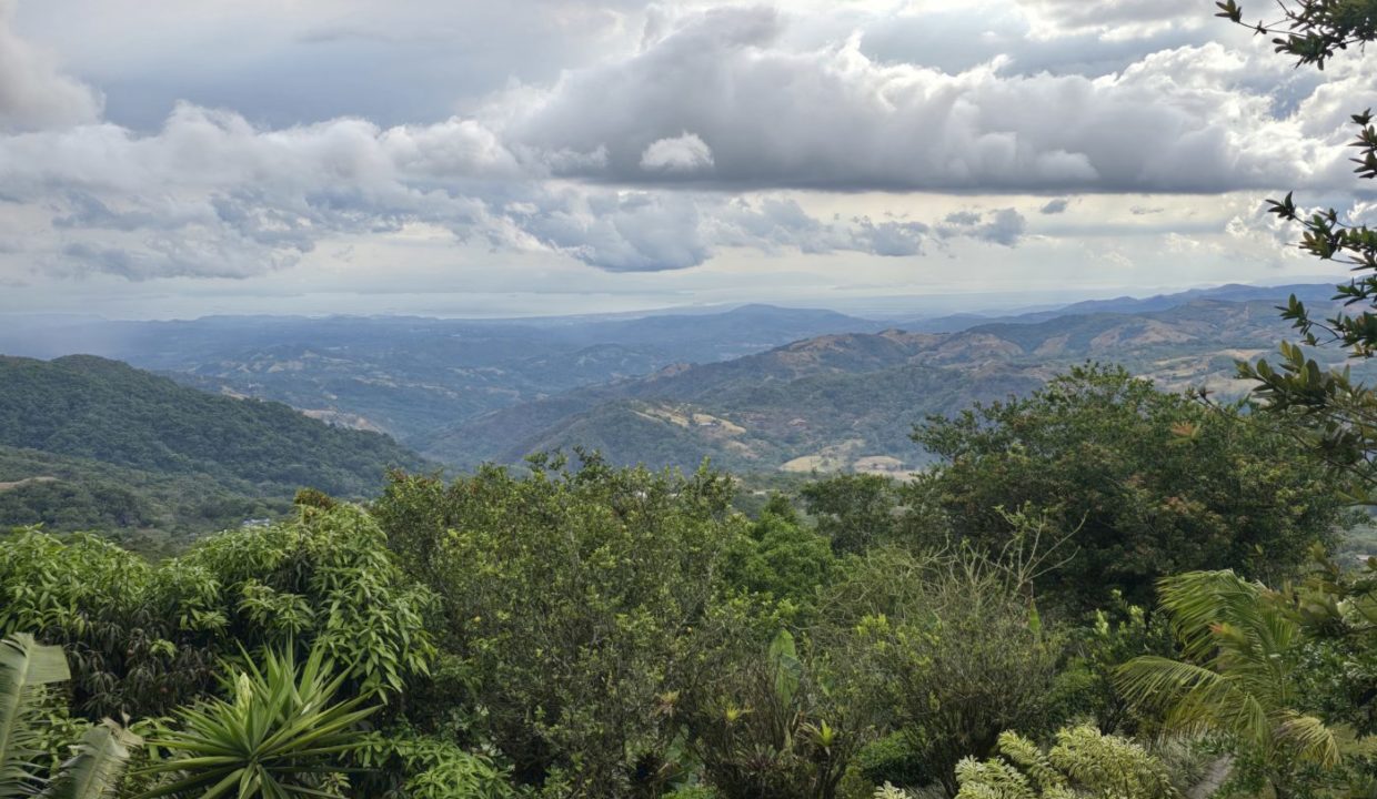 viewmain
