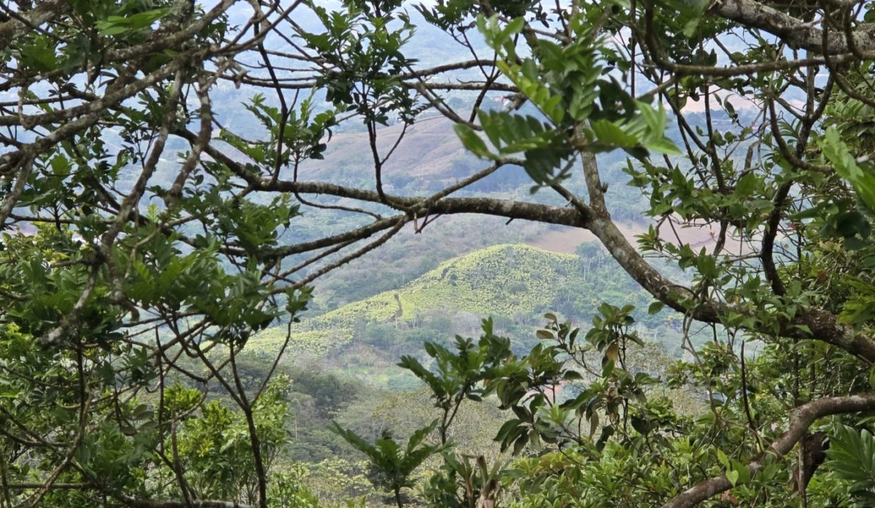 viewvalley
