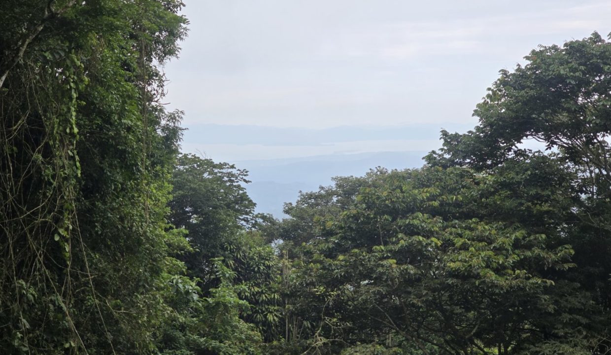 Lot13Ocean2
