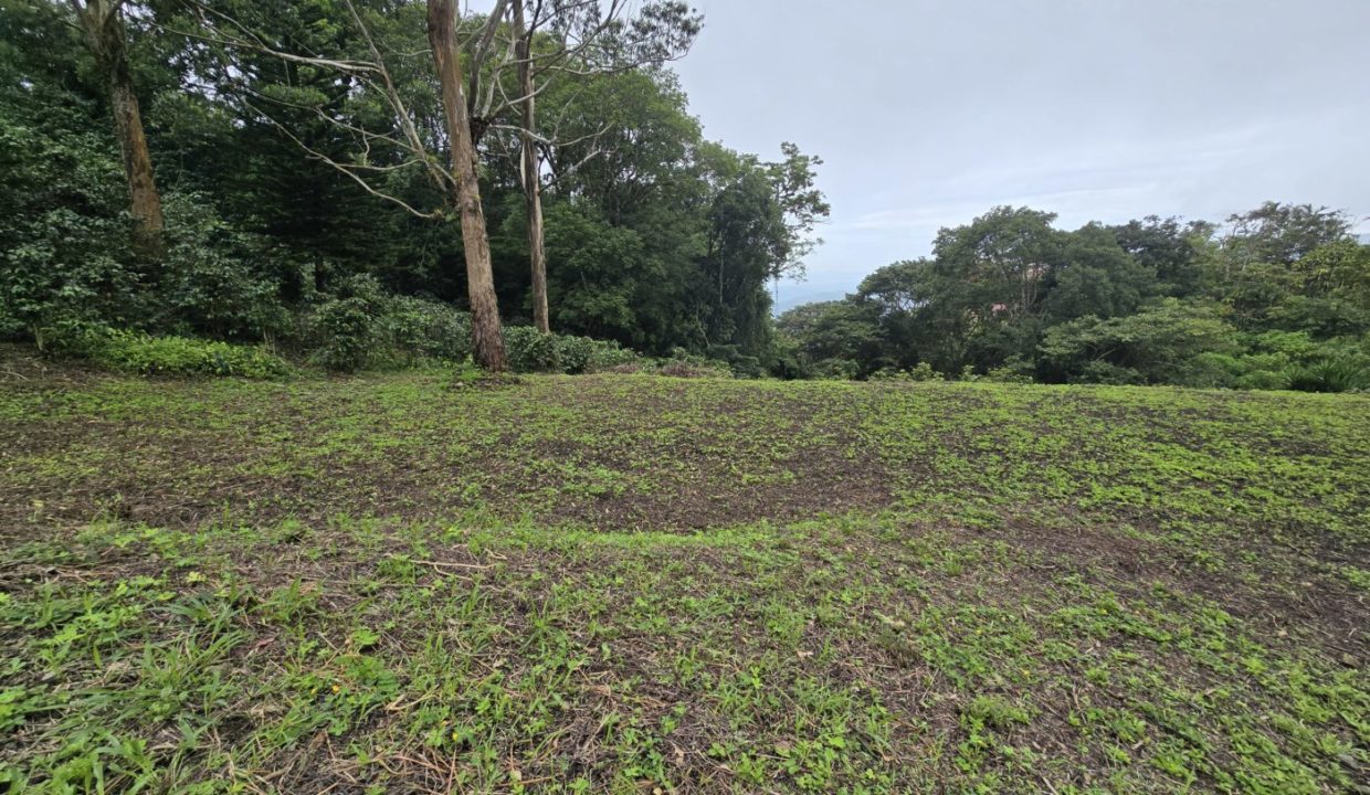 Lot13View