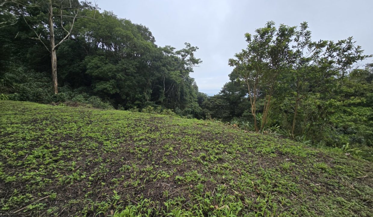 Lot13View2