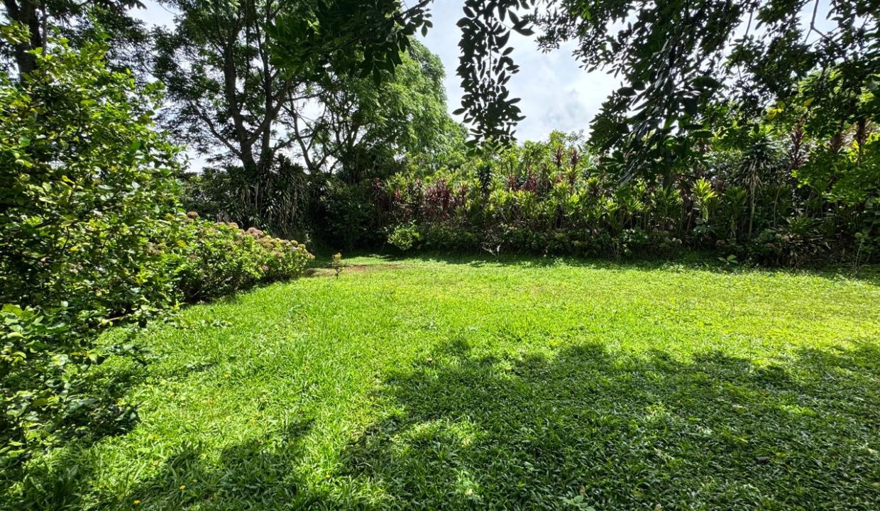 jpg7023