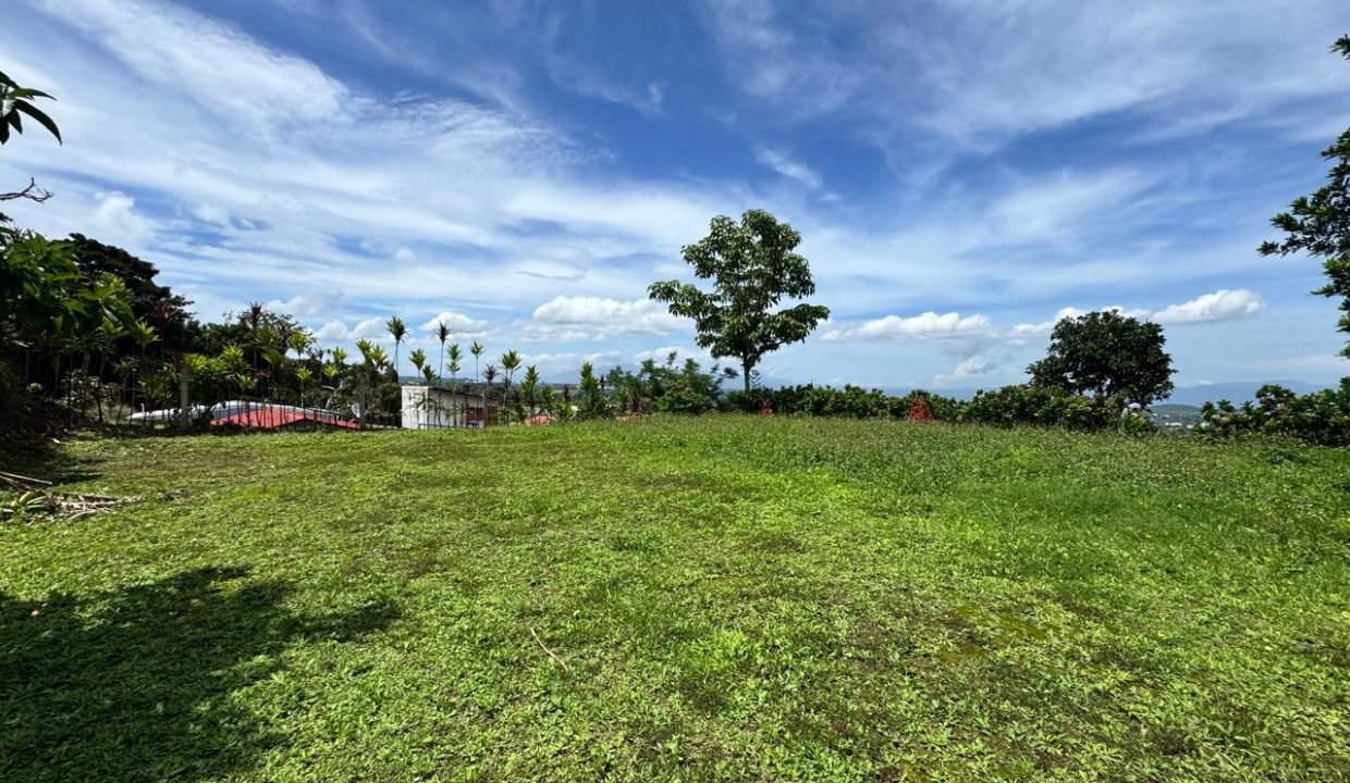 jpg7025