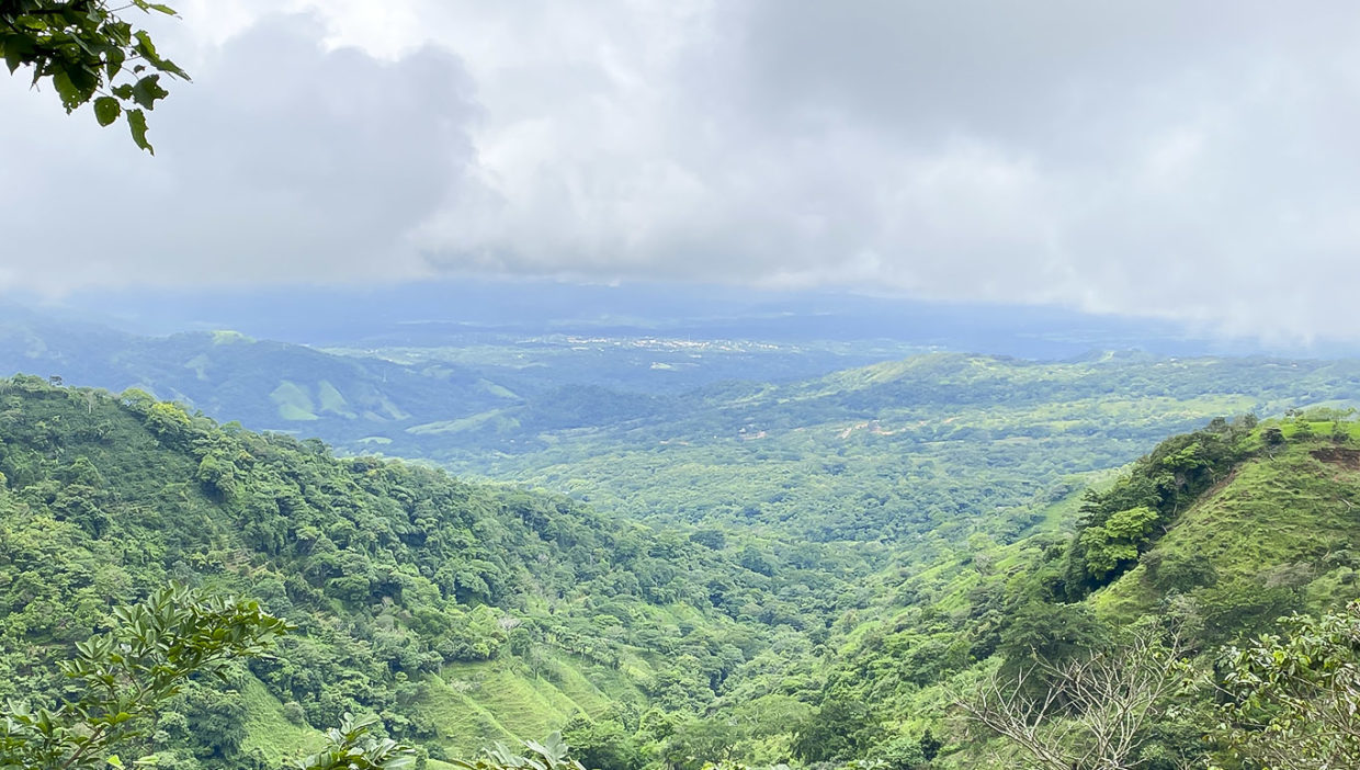 03Coffee-farm-for-sale-Located-in-Berlin-San-Ramon-Alajuela-2