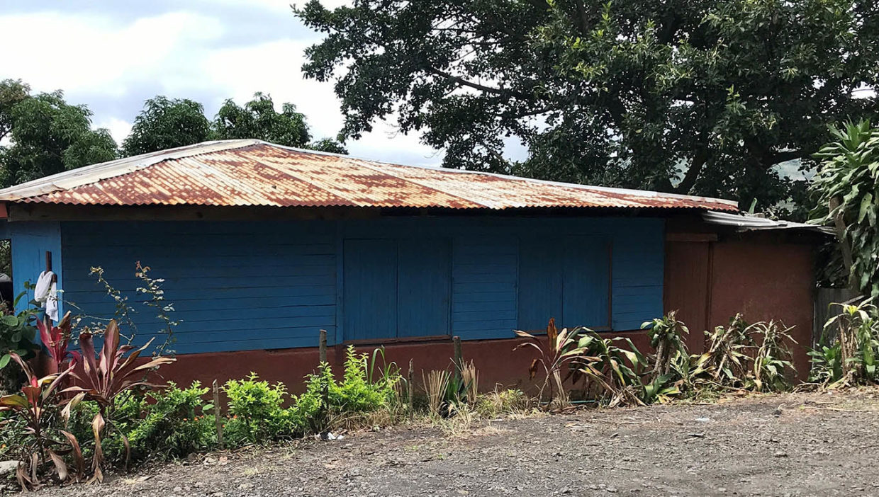 Beautiful coffee and foliage farm at Carbonal, Grecia11