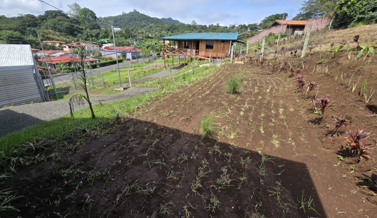 Cabin3Garden2