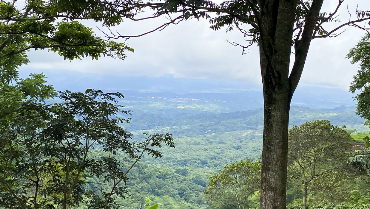 Coffee-farm-for-sale-Located-in-Berlin-San-Ramon-Alajuela-1
