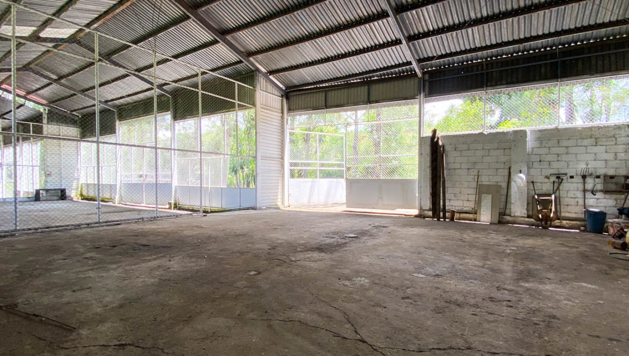 Comercial-property-200meters-from-Route1-via-Naranjo-1