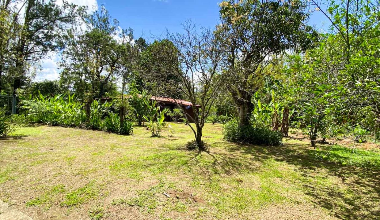Comercial-property-200meters-from-Route1-via-Naranjo-12
