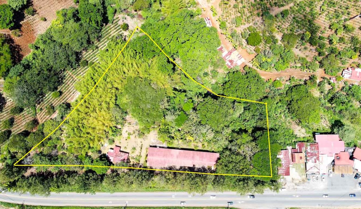 Comercial-property-200meters-from-Route1-via-Naranjo-13