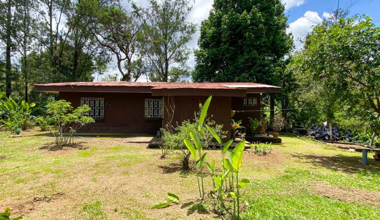 Comercial-property-200meters-from-Route1-via-Naranjo-14