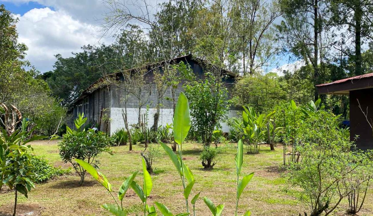 Comercial-property-200meters-from-Route1-via-Naranjo-15