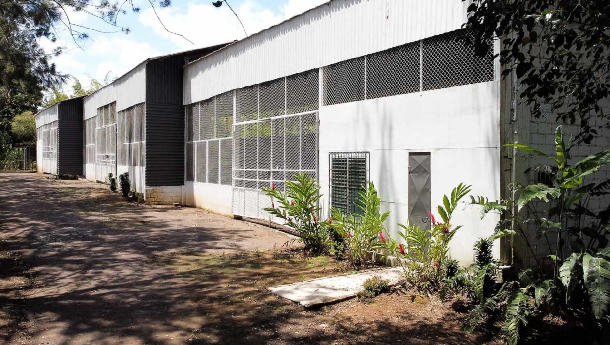 Comercial-property-200meters-from-Route1-via-Naranjo-16