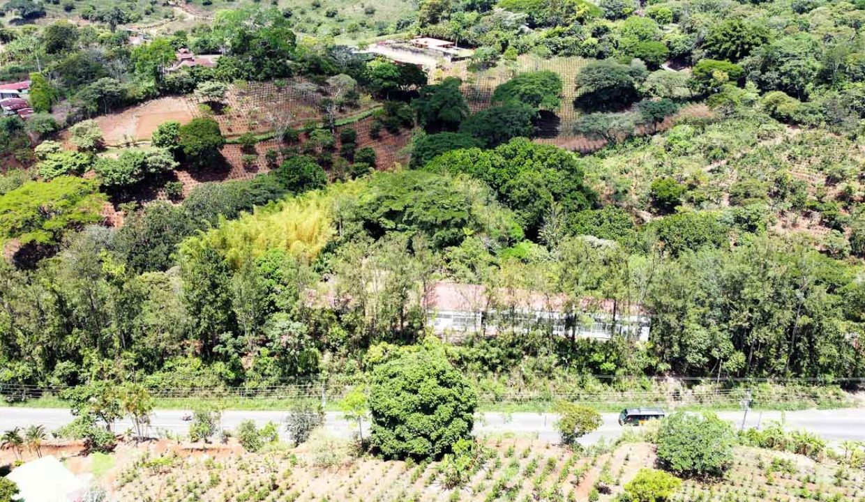 Comercial-property-200meters-from-Route1-via-Naranjo-22