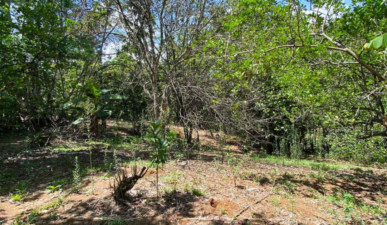 Comercial-property-200meters-from-Route1-via-Naranjo-23