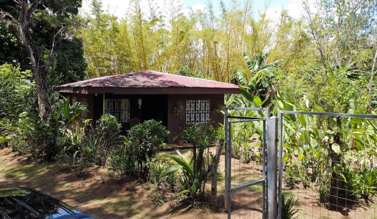 Comercial-property-200meters-from-Route1-via-Naranjo-24