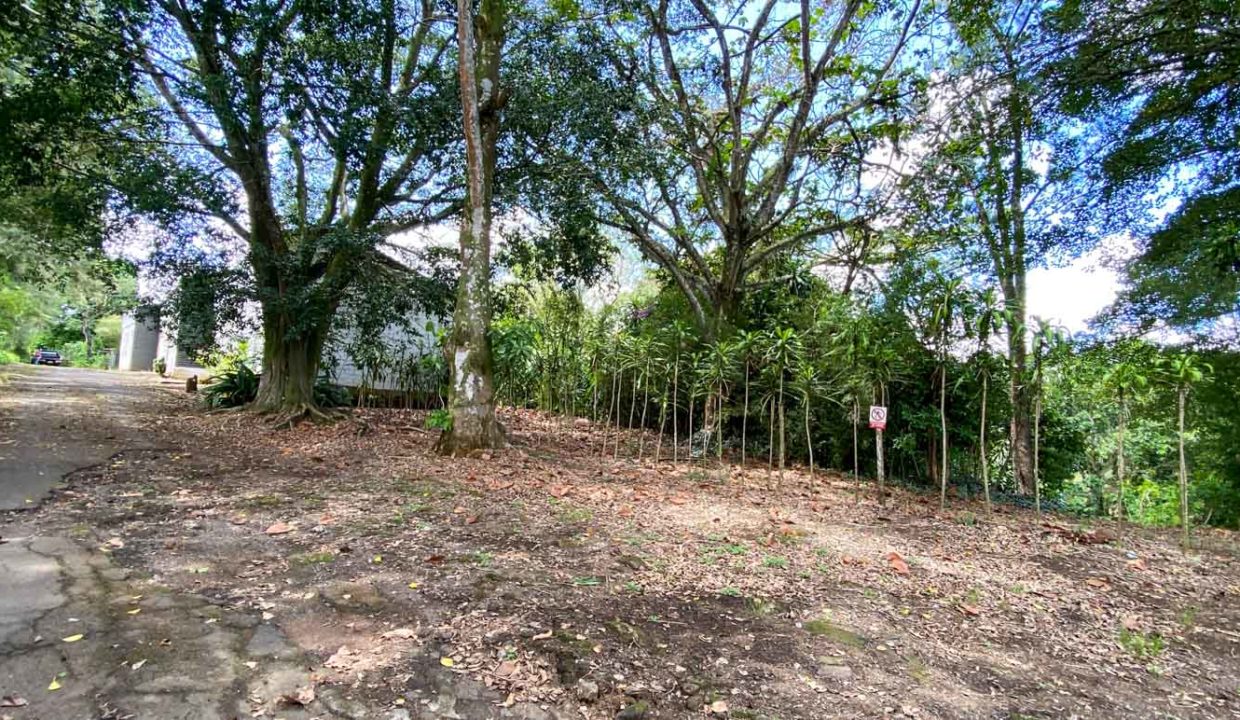 Comercial-property-200meters-from-Route1-via-Naranjo-6
