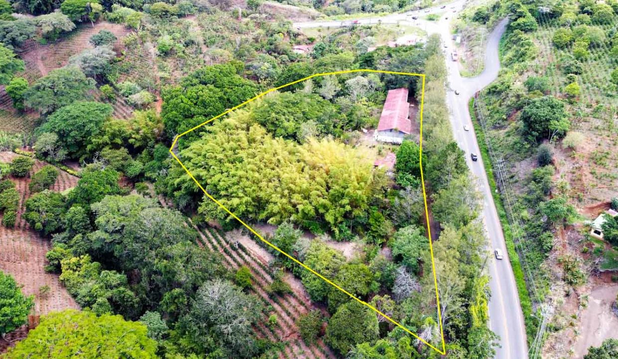Comercial-property-200meters-from-Route1-via-Naranjo-7