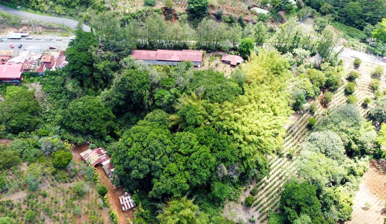 Comercial-property-200meters-from-Route1-via-Naranjo-9
