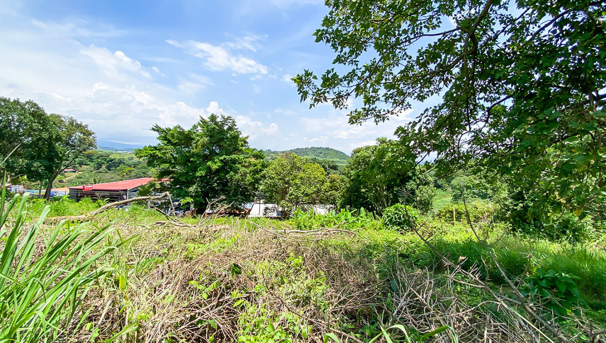 Excellent-opportunity-for-large-comercial-lot-Grecia-10