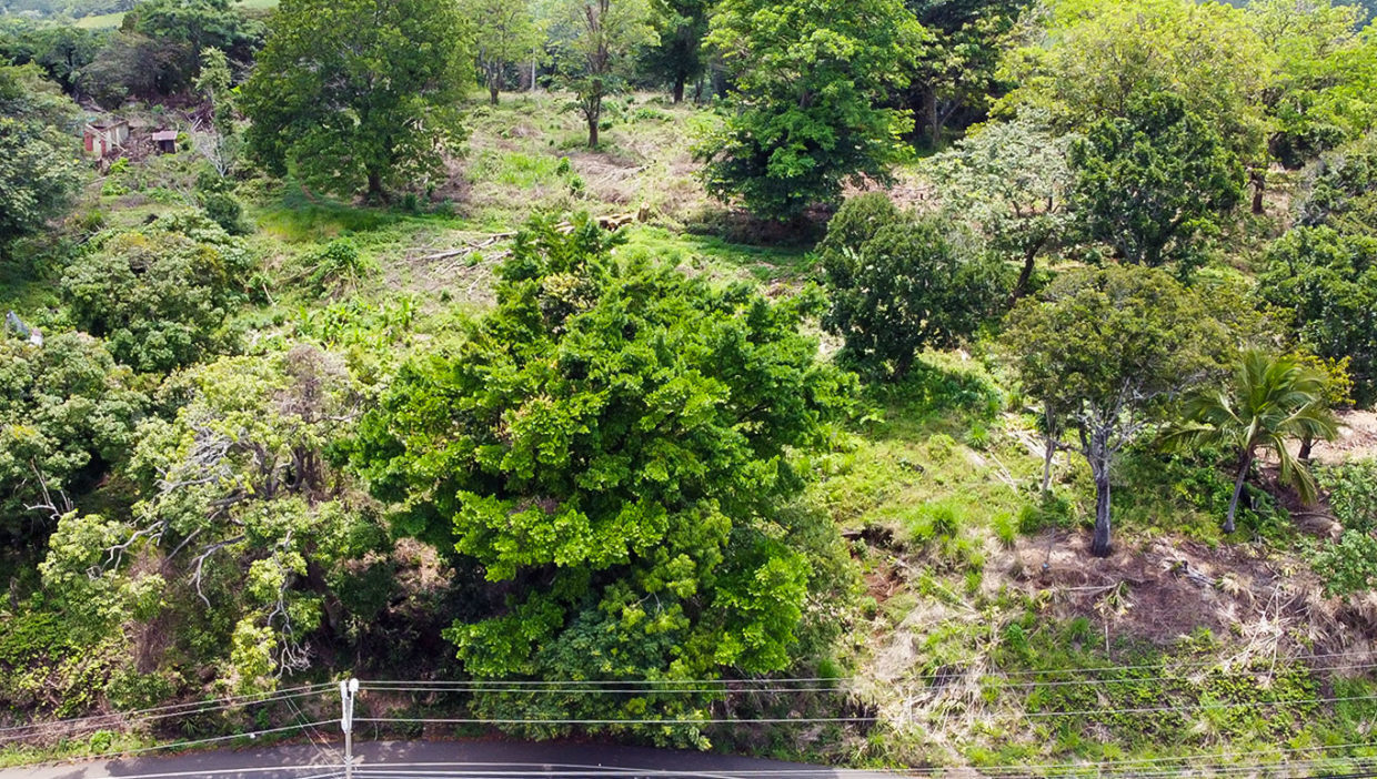 Excellent-opportunity-for-large-comercial-lot-Grecia-13