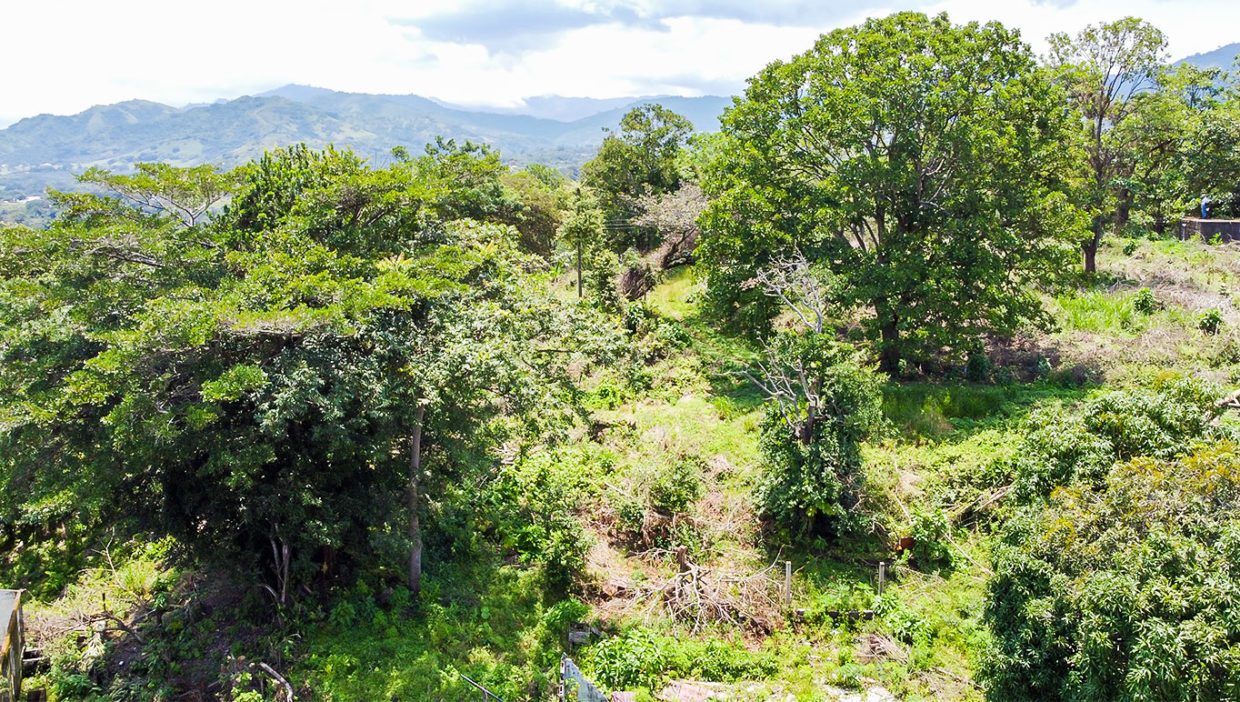 Excellent-opportunity-for-large-comercial-lot-Grecia-14