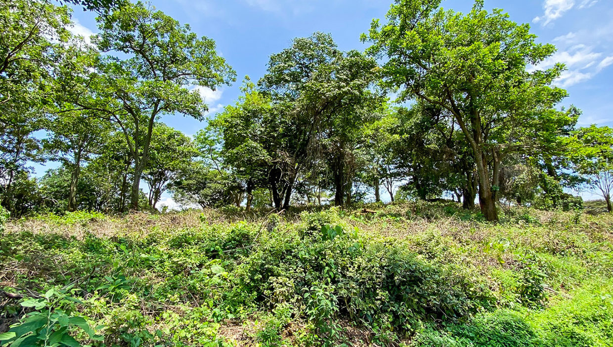 Excellent-opportunity-for-large-comercial-lot-Grecia-3