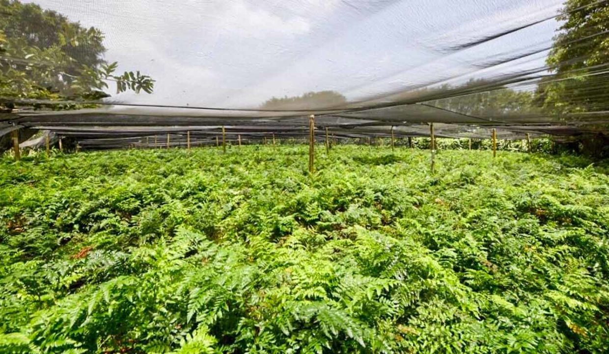 Farm-good-variety-projects-developed-10