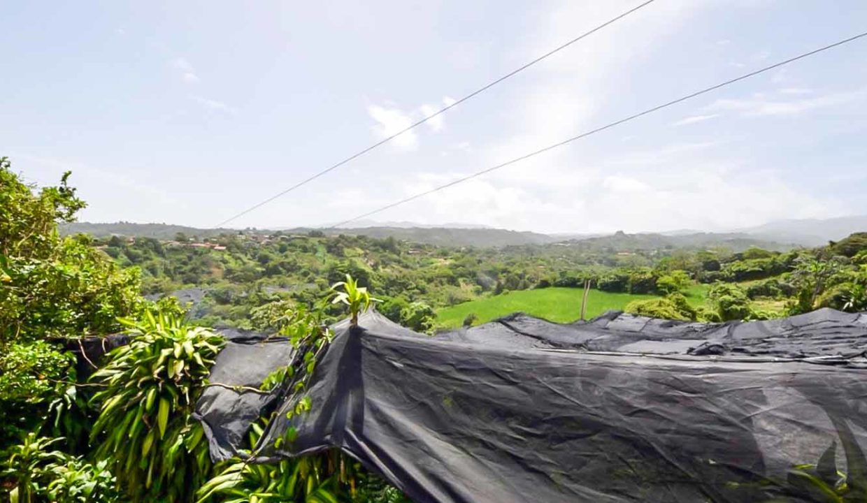 Farm-good-variety-projects-developed-11