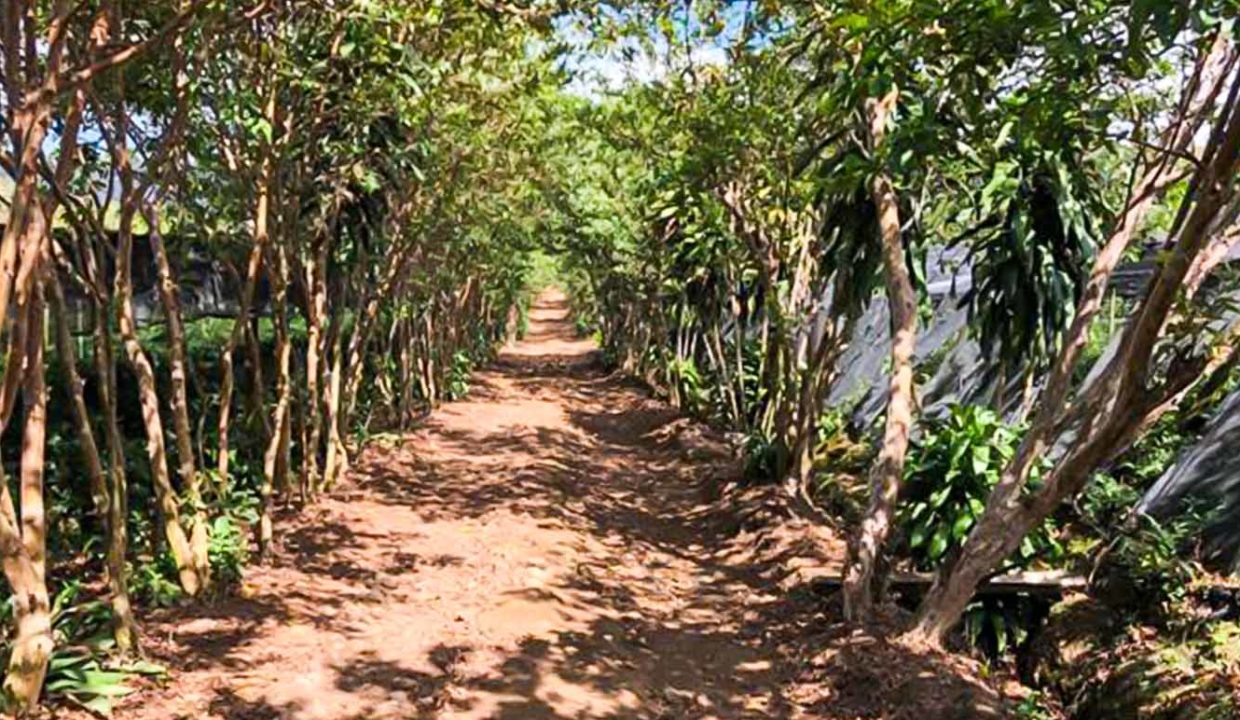 Farm-good-variety-projects-developed-6