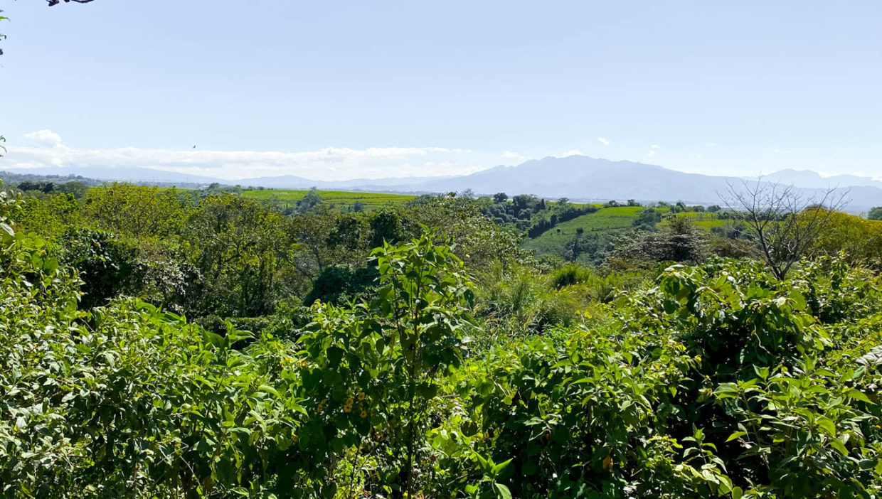 Large-lot-with-great-views-in-condominium-Hacienda-el-Paseo-5